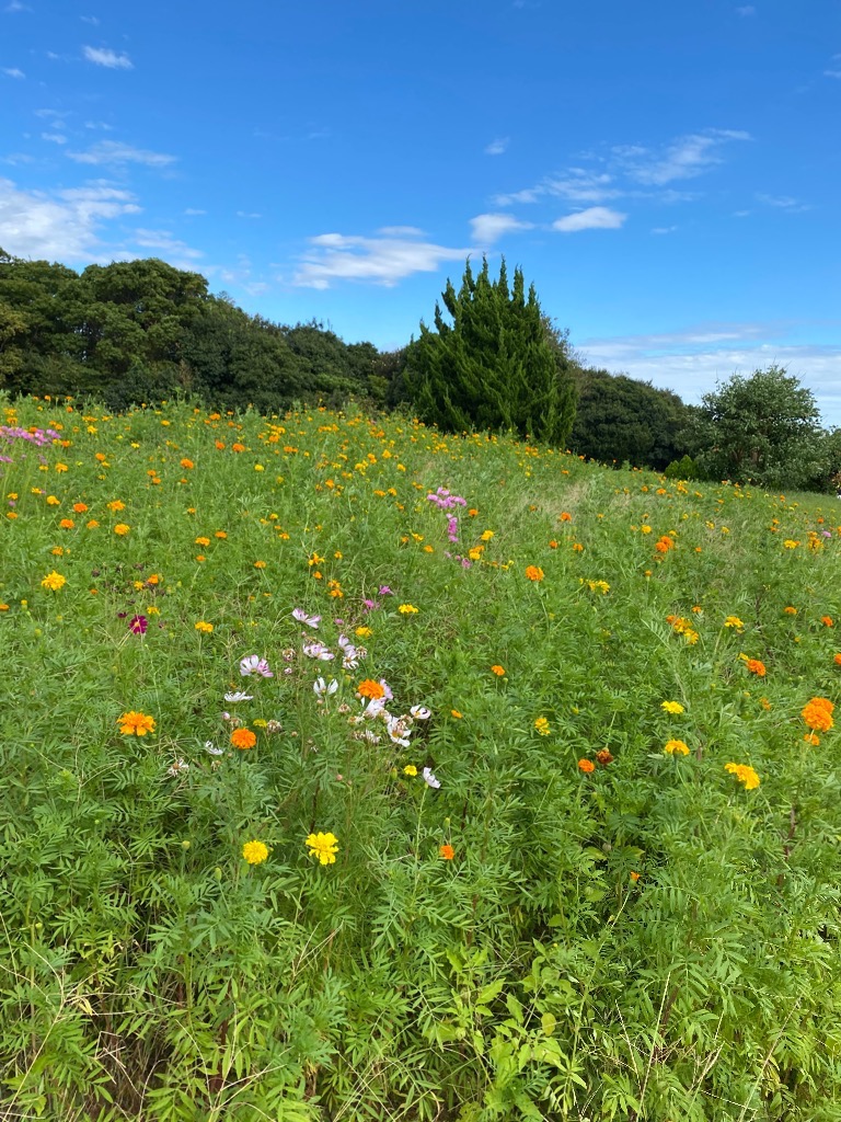 ハイヤーセルフとの約束。