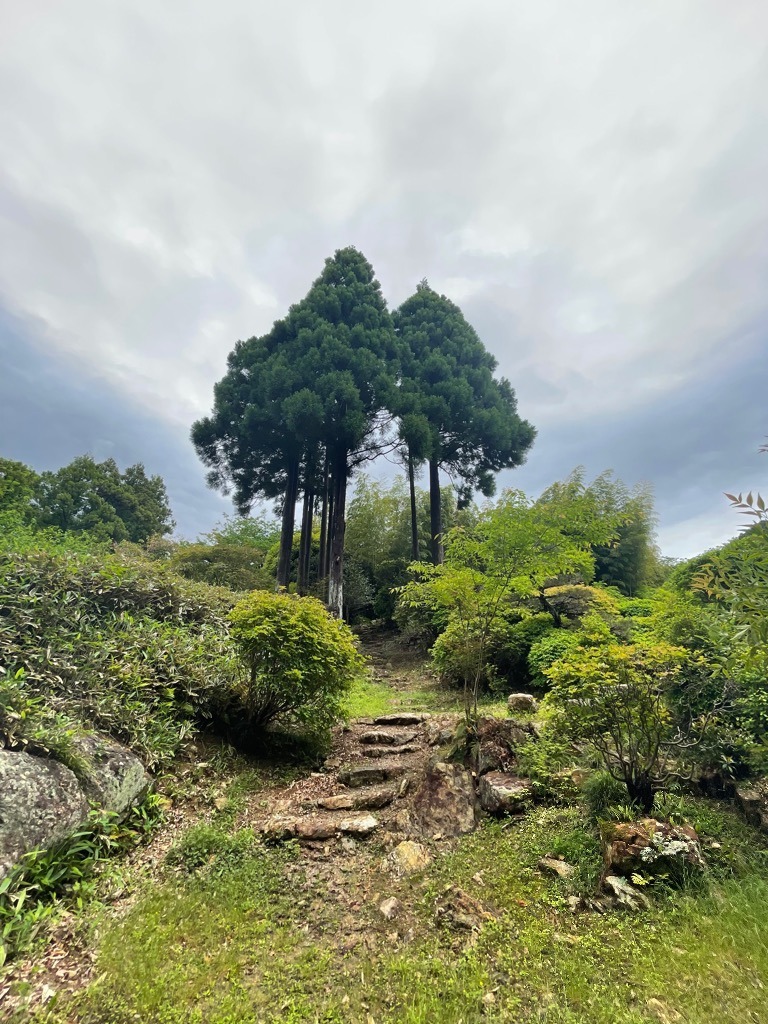 異次元(宇宙)を感じた瞬間✨